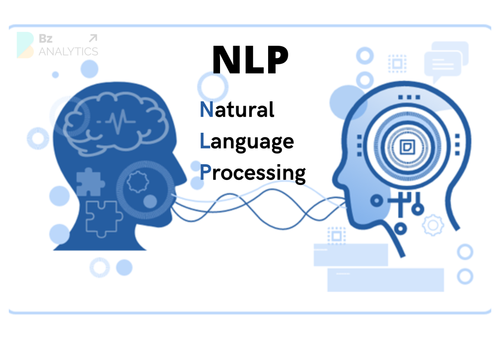 Natural Language Processing (NLP)